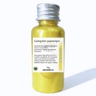 SÁRGA GYÖNGYHÁZ FÉNYŰ MICA SZÍNEZŐ PIGMENTPOR - 10G