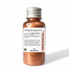 BRONZ GYÖNGYHÁZ FÉNYŰ MICA SZÍNEZŐ PIGMENTPOR - 10G