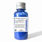 KIRÁLYKÉK GYÖNGYHÁZ FÉNYŰ MICA SZÍNEZŐ PIGMENTPOR - 10G