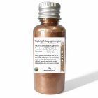 RÉZ GYÖNGYHÁZ FÉNYŰ MICA SZÍNEZŐ PIGMENTPOR - 10G