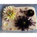 SPECIÁLIS SZILIKAGÉL VIRÁGSZÁRÍTÁSHOZ 500G - APRÓSZEMŰ, INDIKÁTOROS - SILICA GÉL